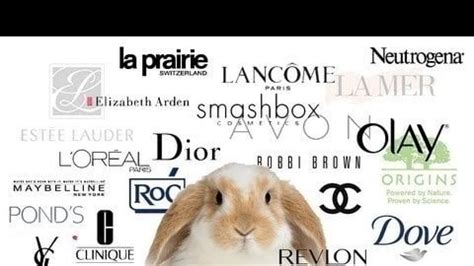 animal testing dior|dior greenwashing.